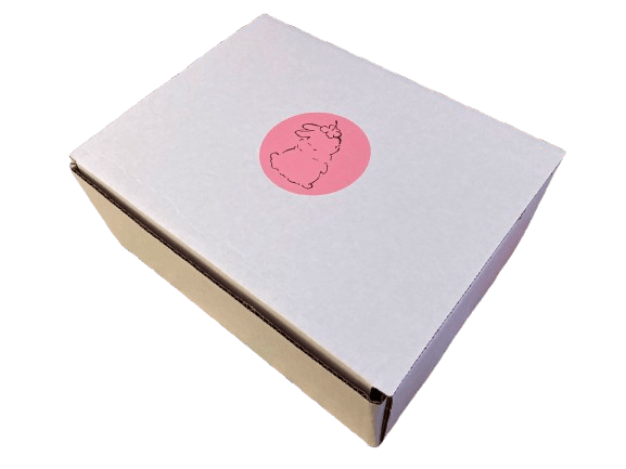 genshin impact blind box - ohakoro