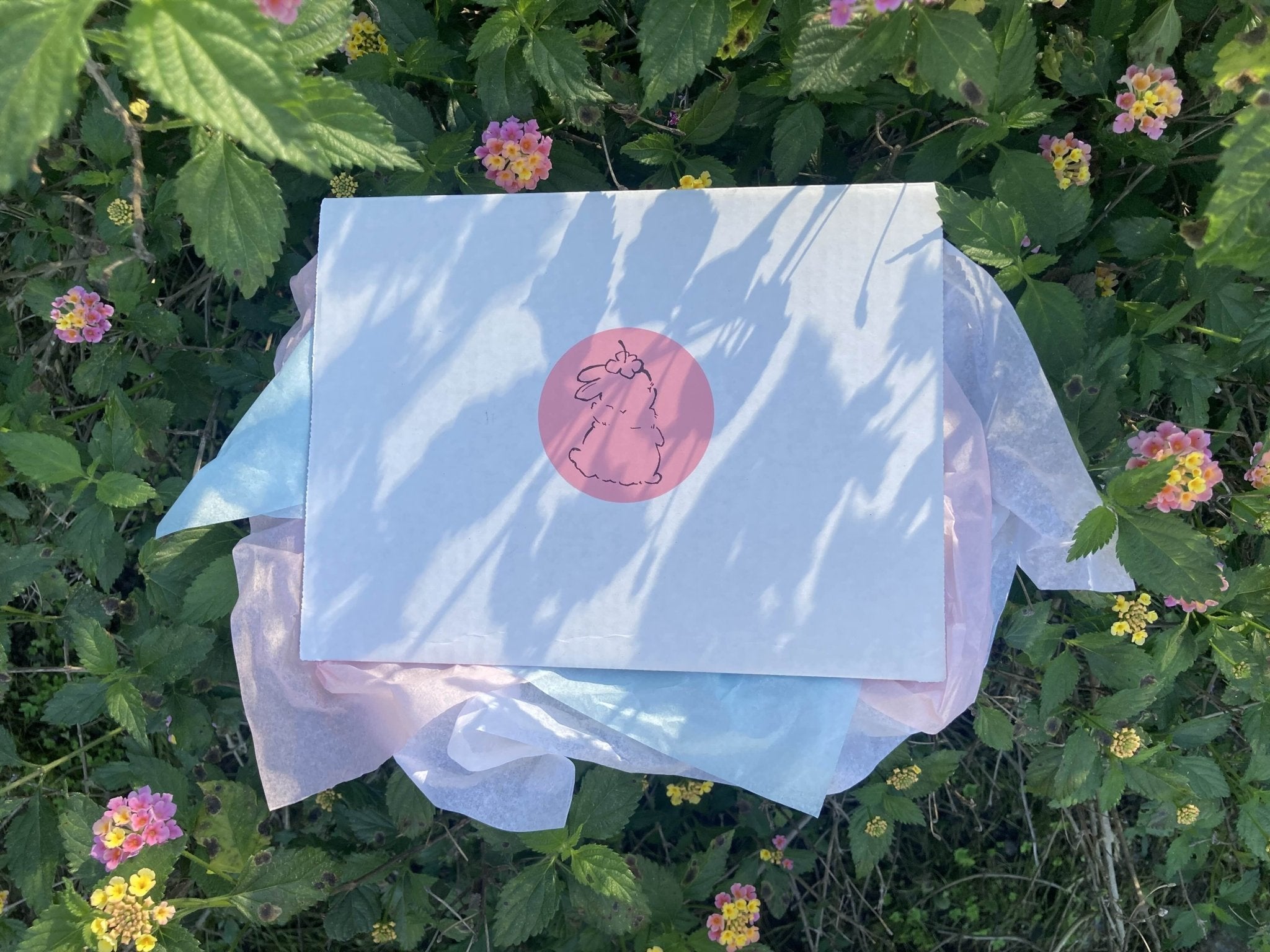 genshin impact blind box - ohakoro