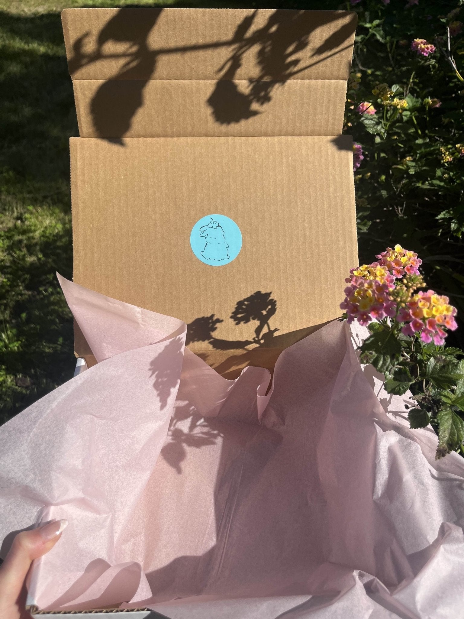 genshin impact blind box - ohakoro