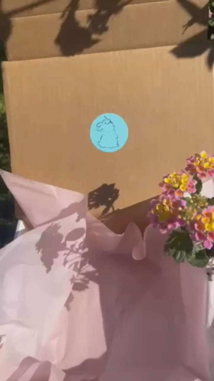 genshin impact blind box