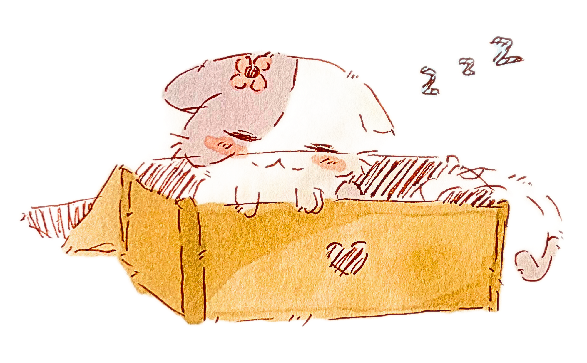 tyfguihjo'.png__PID:0a1fb00e-298b-464e-a28e-c0bd493ae1cb